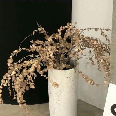 兽设原创改稿实用思路兽圈社群